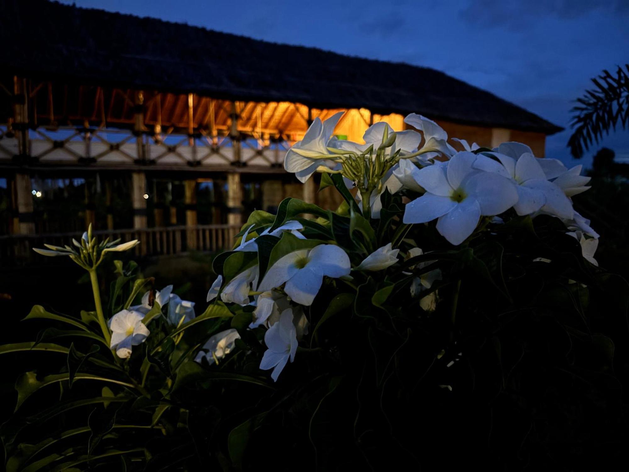 Mowgli'S Cafe Hampi & Guest House 외부 사진